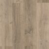 1304 Bonega