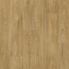 Havanna Oak 662M