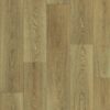 Beskidy Oak S50 (605-01)