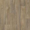 Havanna Oak 613M